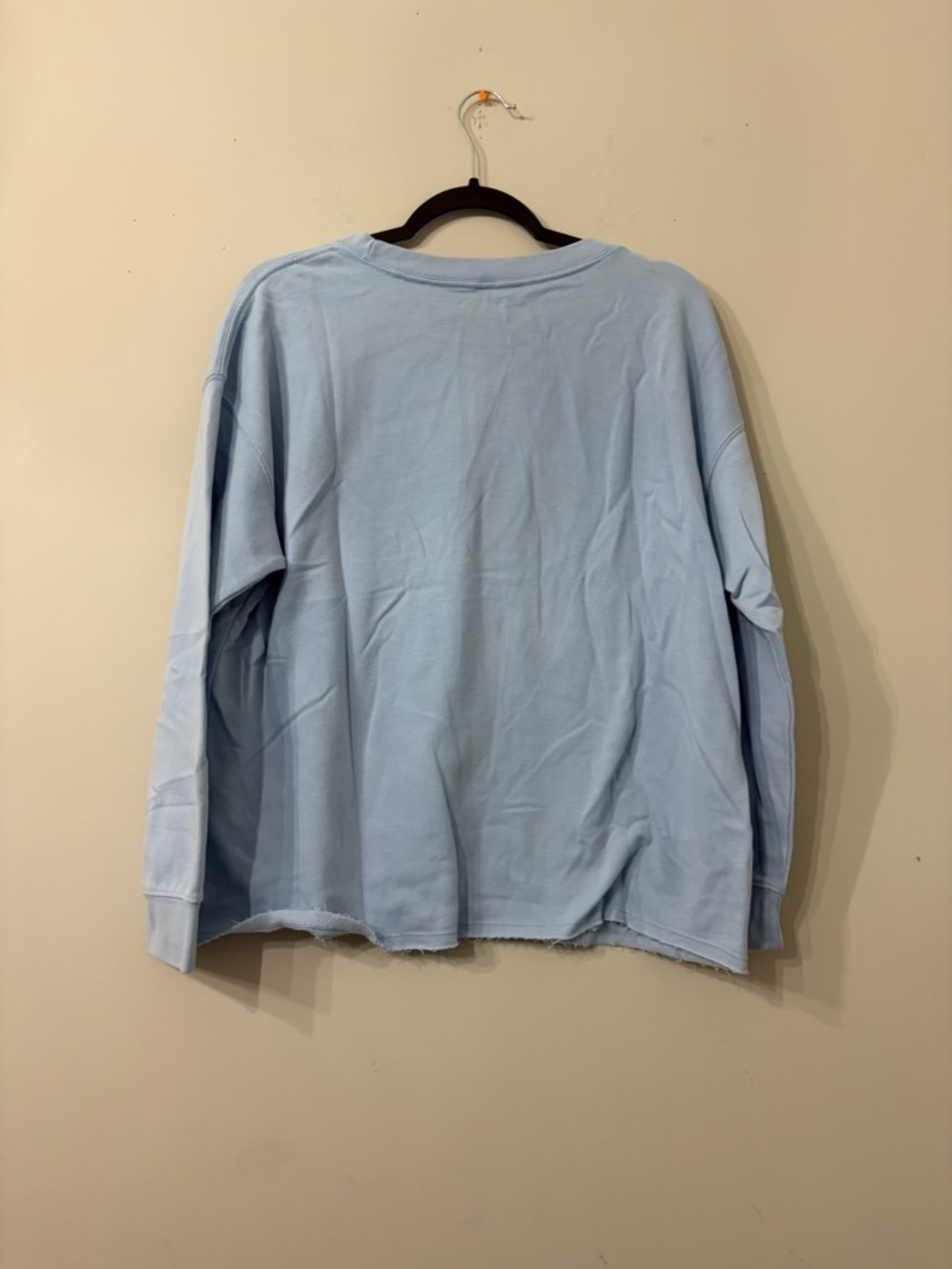 Light Blue Daisy Graphic  Sweatshirt - Picture 2 of 2